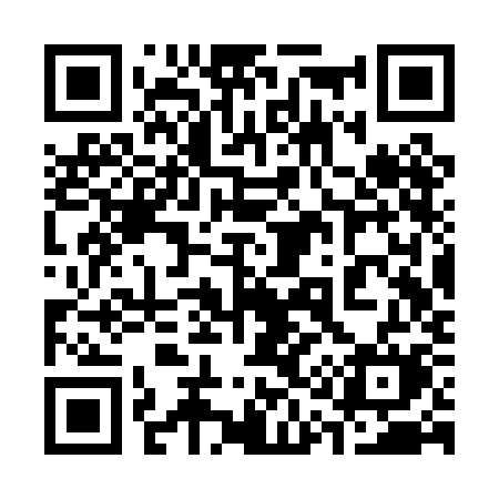 QR code for 313PKM