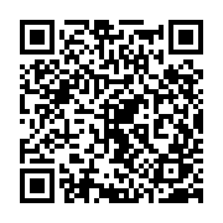 QR code for 313QER