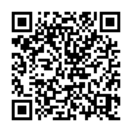 QR code for 313QGP