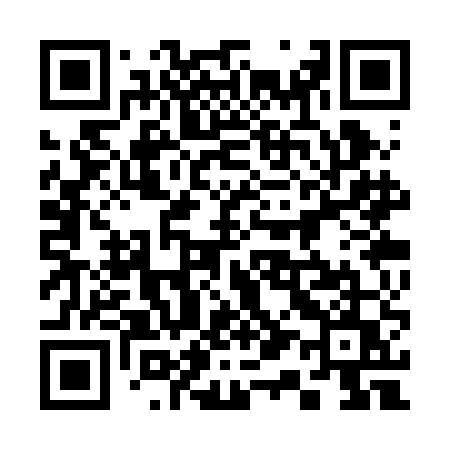 QR code for 313REU
