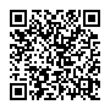 QR code for 313STX