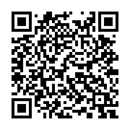 QR code for 313TQR