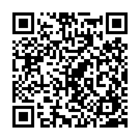 QR code for 313TRD