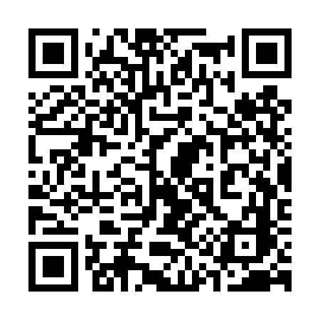 QR code for 313TVC