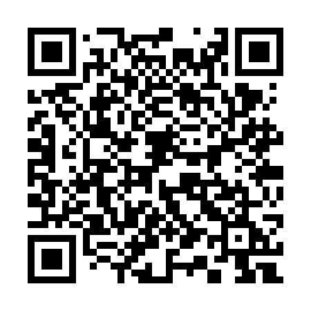 QR code for 313VGE
