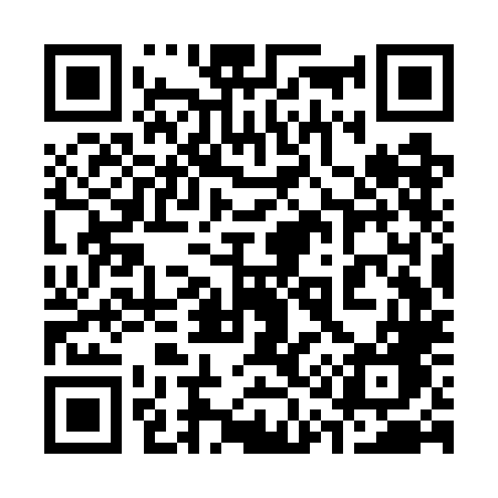 QR code for 313WLG