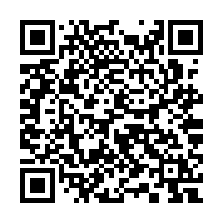 QR code for 316QAX