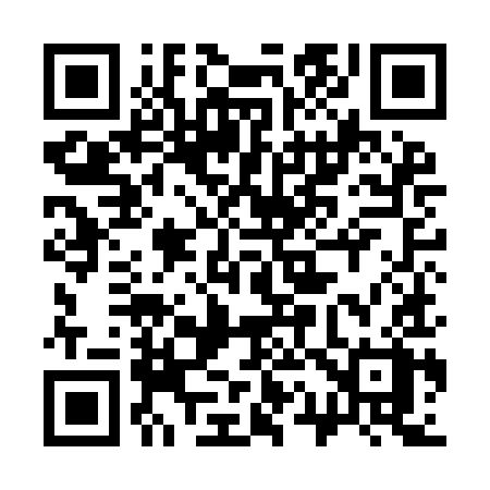 QR code for 319IIX