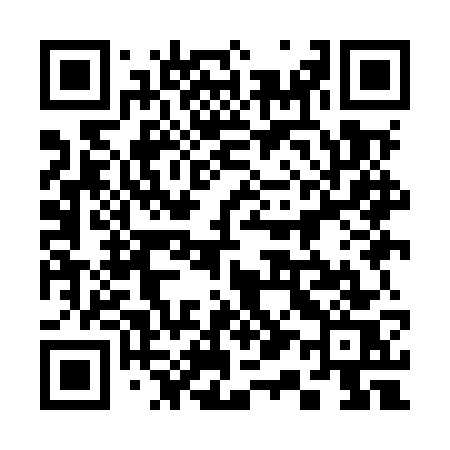 QR code for 319MWS