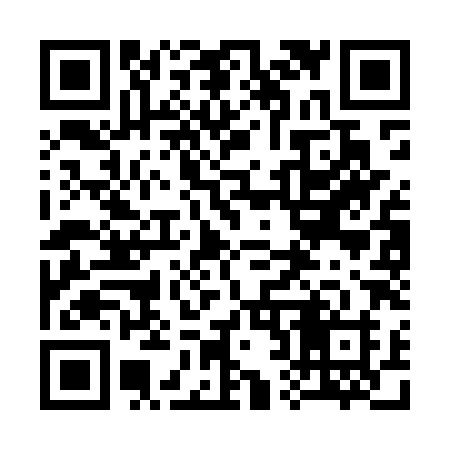 QR code for 323MXH