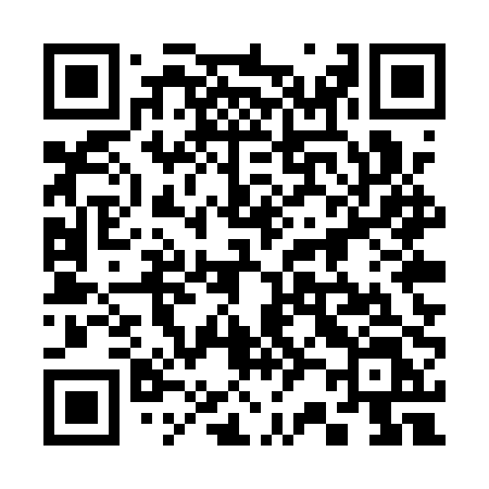 QR code for 325QPL