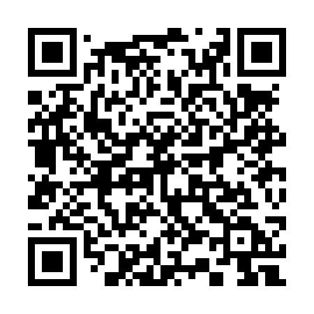 QR code for 333LSD