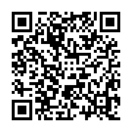 QR code for 333MLO