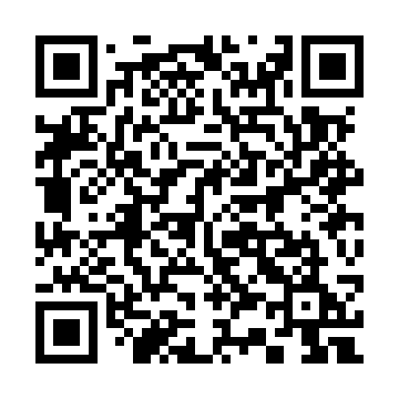 QR code for 333MSE
