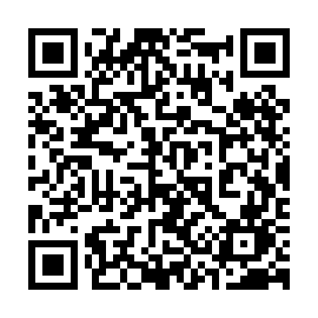 QR code for 333PGN