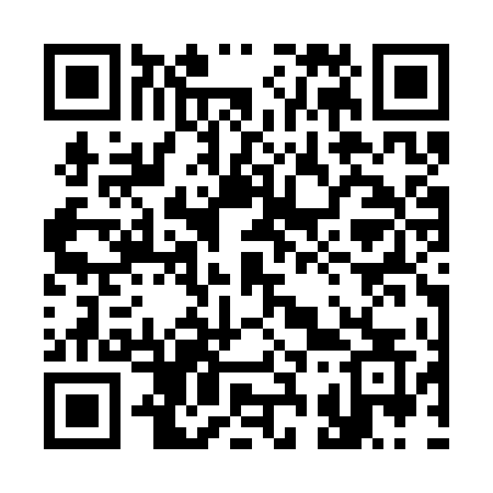 QR code for 333STS