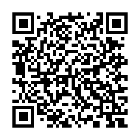 QR code for 335DOK