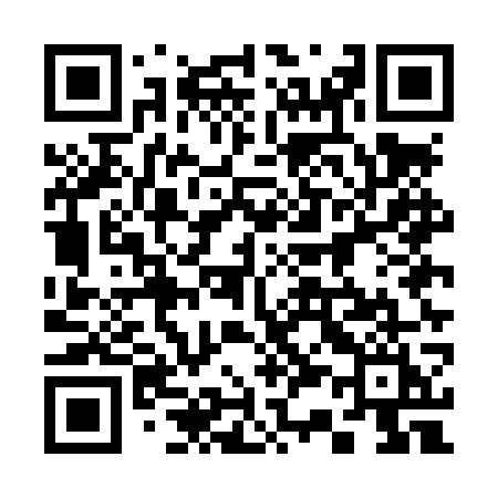 QR code for 335LWI
