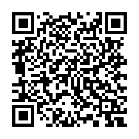 QR code for 335MVP