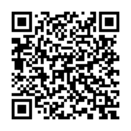 QR code for 335MWH