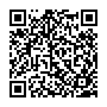 QR code for 335PAN