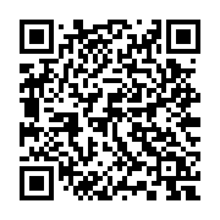 QR code for 335PRT