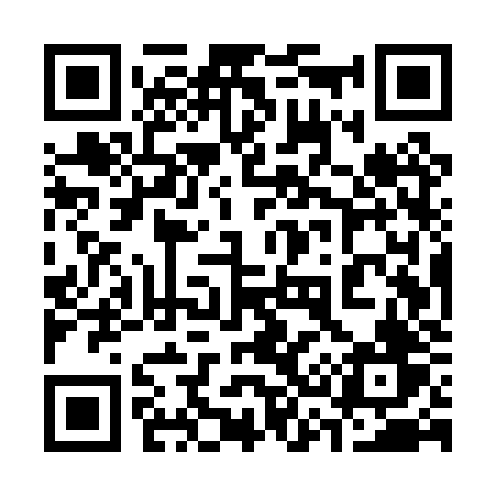 QR code for 335PZV