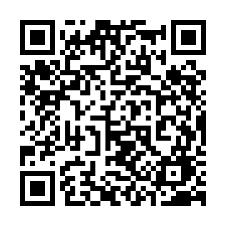QR code for 335QGG
