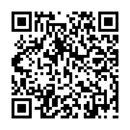 QR code for 335STL