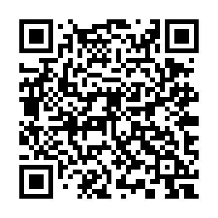 QR code for 335TIF