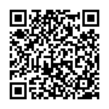 QR code for 335TPL