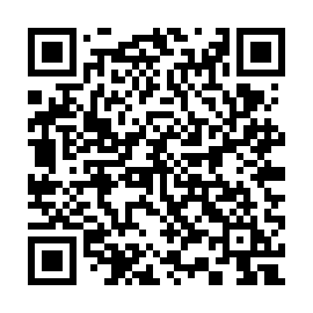 QR code for 335VAI