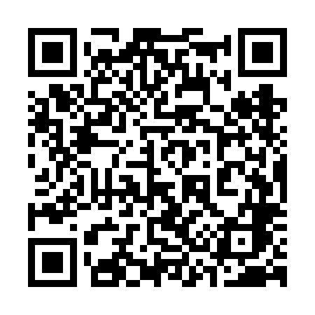 QR code for 335VLC