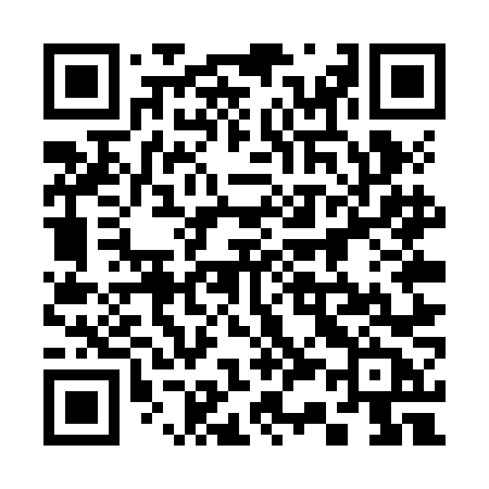 QR code for 335ZNB