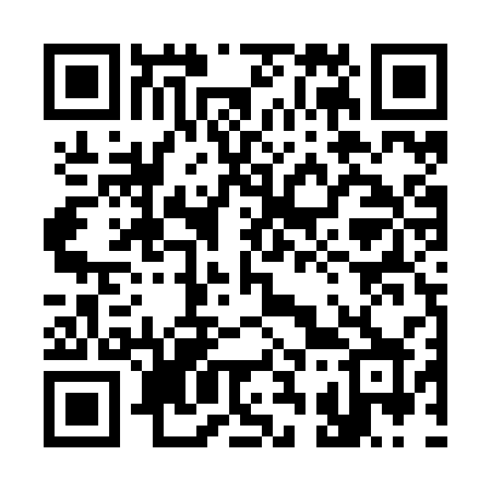 QR code for 335ZSX