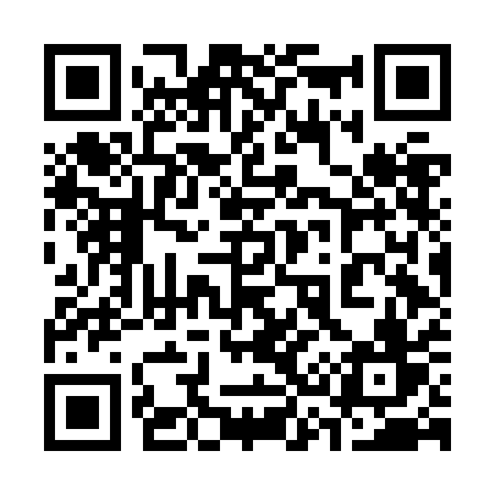 QR code for 336JAV
