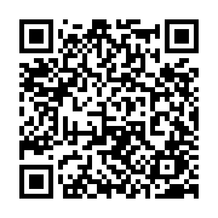 QR code for 336MON
