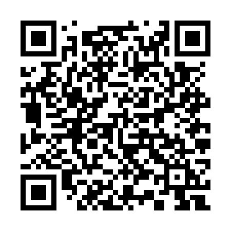 QR code for 336OWI