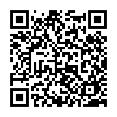 QR code for 336PAG