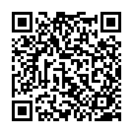 QR code for 336QUO