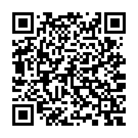 QR code for 336VOY