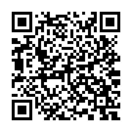 QR code for 336ZVO