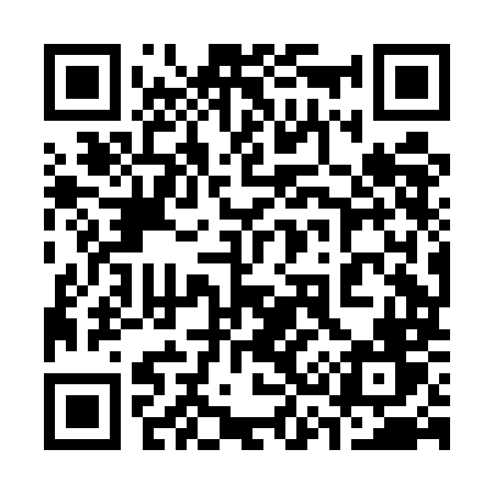 QR code for 338EMV