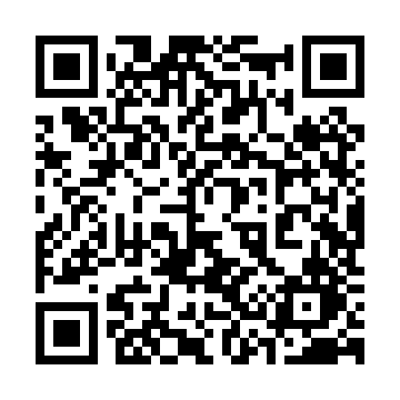 QR code for 338PZN
