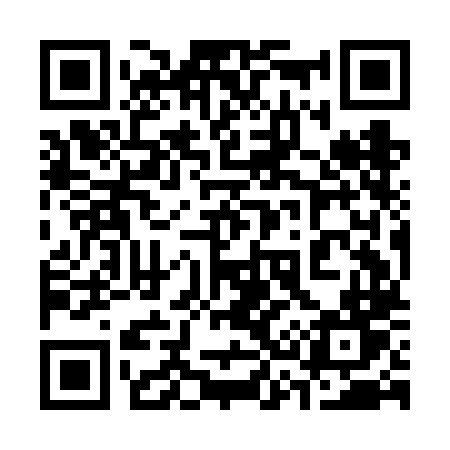QR code for 339FLT