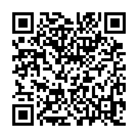QR code for 343CHO