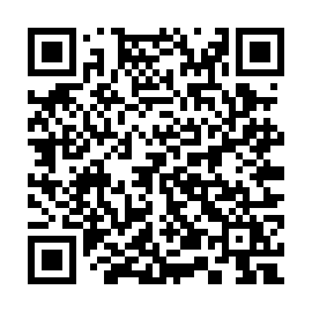 QR code for 355POY