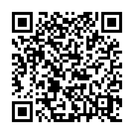 QR code for 363MAX