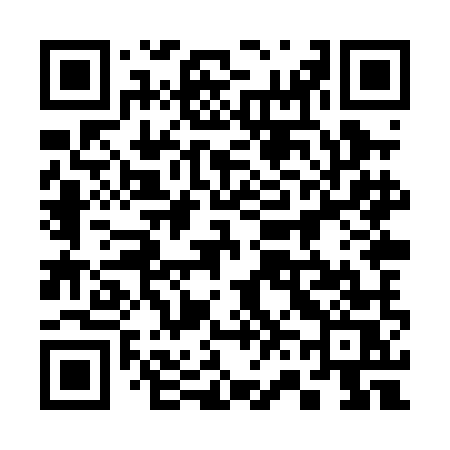 QR code for 368PMS
