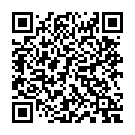 QR code for 369DSA
